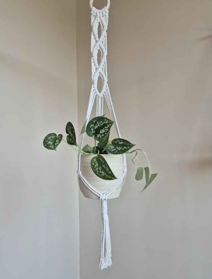 Natūralios spalvos gėlių laiklis 