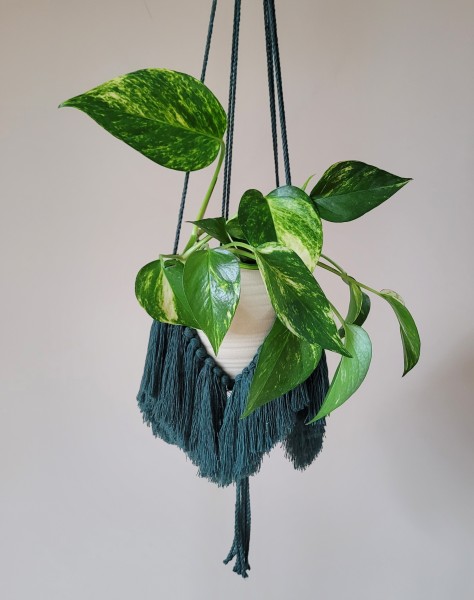 Tamsiai žalios spalvos gėlių laikiklis