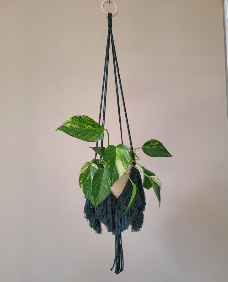 Tamsiai žalios spalvos gėlių laikiklis