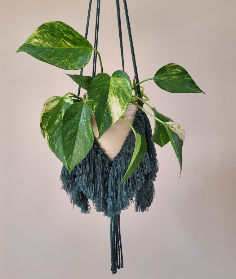 Tamsiai žalios spalvos gėlių laikiklis